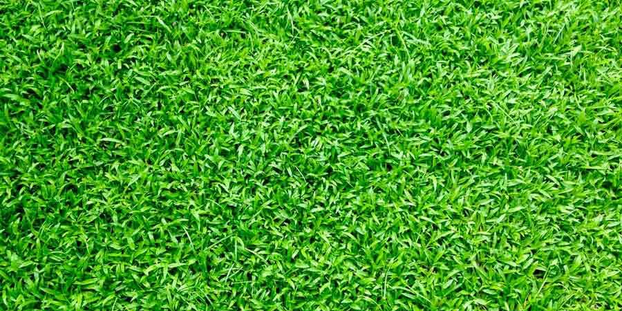 The Top Advantages of Synthetic Turf