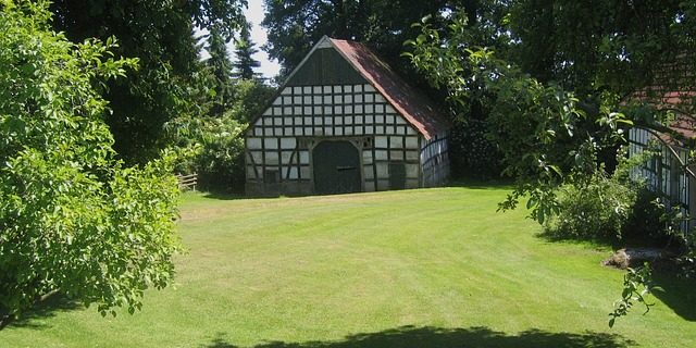 5 Tips for a Stunning Backyard Shed